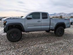 Toyota salvage cars for sale: 2020 Toyota Tacoma Access Cab