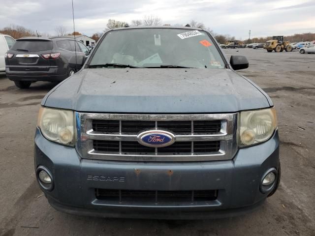 2011 Ford Escape XLT