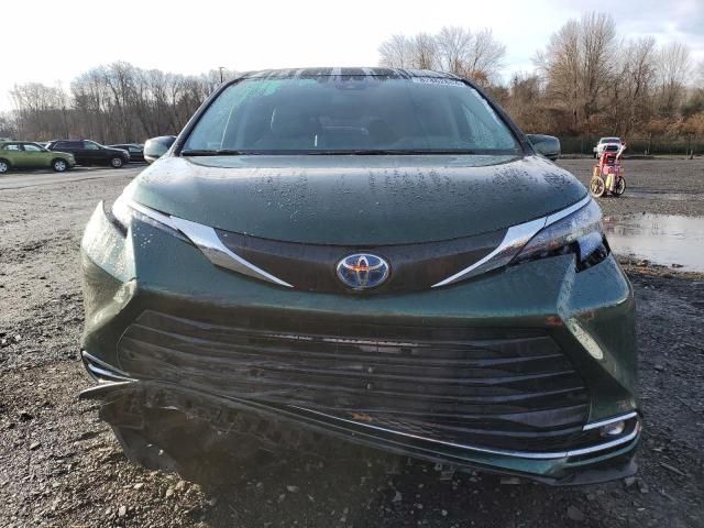 2024 Toyota Sienna XLE