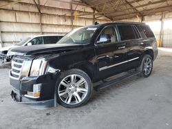 Cadillac salvage cars for sale: 2016 Cadillac Escalade Premium