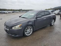 Nissan Maxima salvage cars for sale: 2010 Nissan Maxima S