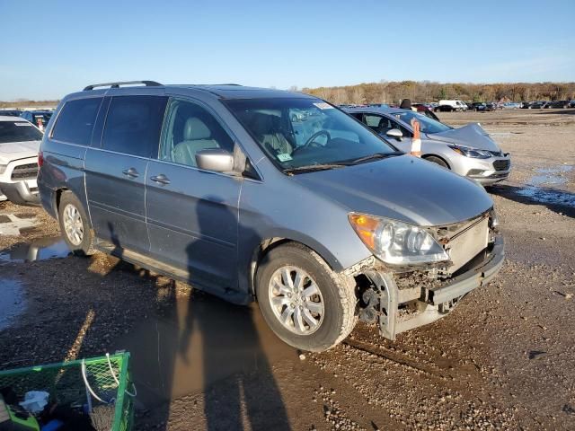 2008 Honda Odyssey EXL