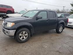 Nissan Frontier salvage cars for sale: 2010 Nissan Frontier Crew Cab SE