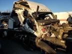 2022 Freightliner Cascadia 126