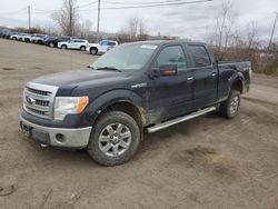 Ford salvage cars for sale: 2013 Ford F150 Supercrew