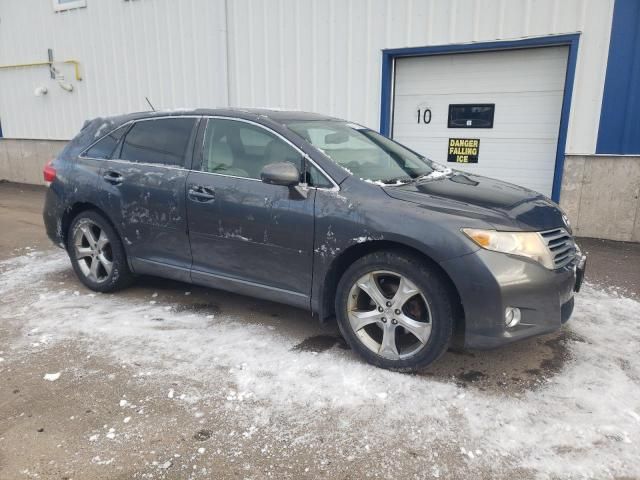 2010 Toyota Venza