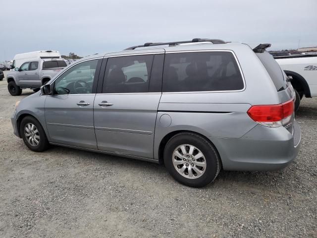 2010 Honda Odyssey EXL