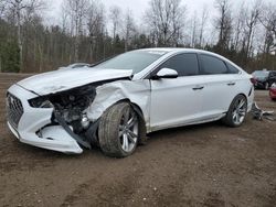 Hyundai salvage cars for sale: 2019 Hyundai Sonata Limited