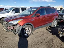 Ford Escape salvage cars for sale: 2014 Ford Escape SE