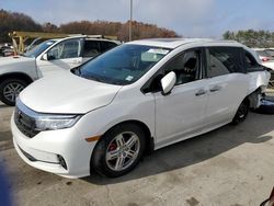 Salvage cars for sale from Copart Windsor, NJ: 2023 Honda Odyssey Elite