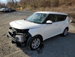 Vehiculos salvage en venta de Copart Marlboro, NY: 2021 KIA Soul LX