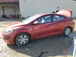 Hyundai Elantra salvage cars for sale: 2016 Hyundai Elantra SE