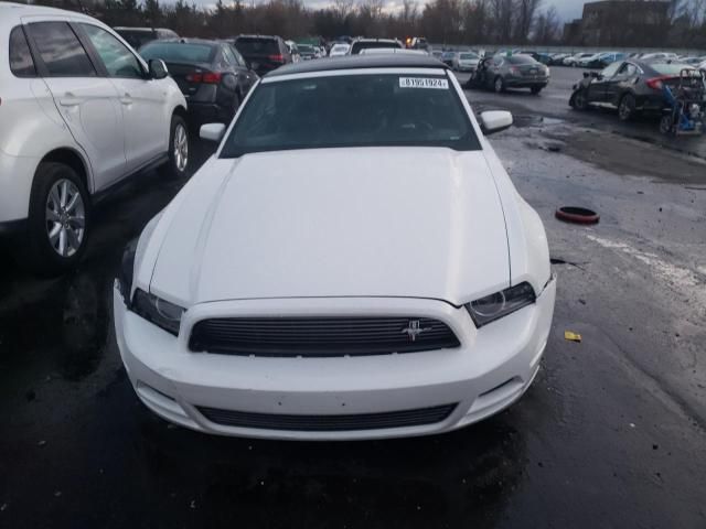 2013 Ford Mustang