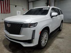 Cadillac salvage cars for sale: 2023 Cadillac Escalade Premium Luxury