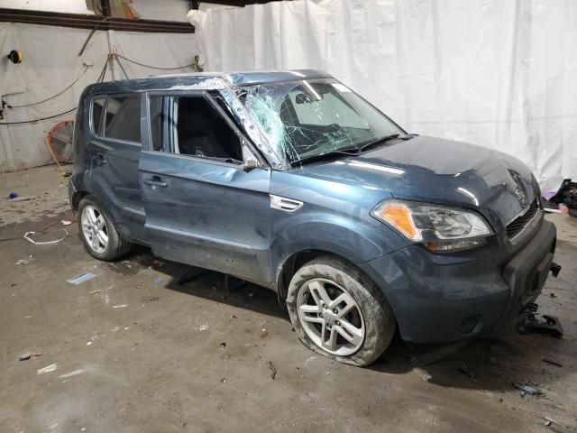 2011 KIA Soul +