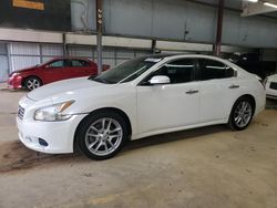 Nissan Maxima salvage cars for sale: 2010 Nissan Maxima S