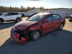 Hyundai Elantra salvage cars for sale: 2019 Hyundai Elantra SE