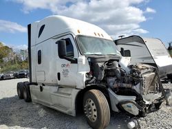 Compre camiones salvage a la venta ahora en subasta: 2019 Freightliner Cascadia 126