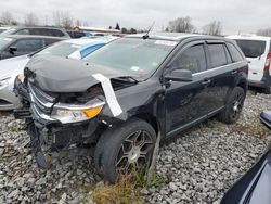 Ford Edge salvage cars for sale: 2013 Ford Edge Limited