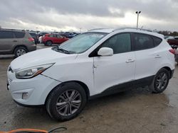 Hyundai Tucson salvage cars for sale: 2015 Hyundai Tucson Limited