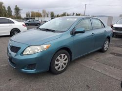 Toyota Corolla salvage cars for sale: 2009 Toyota Corolla Base