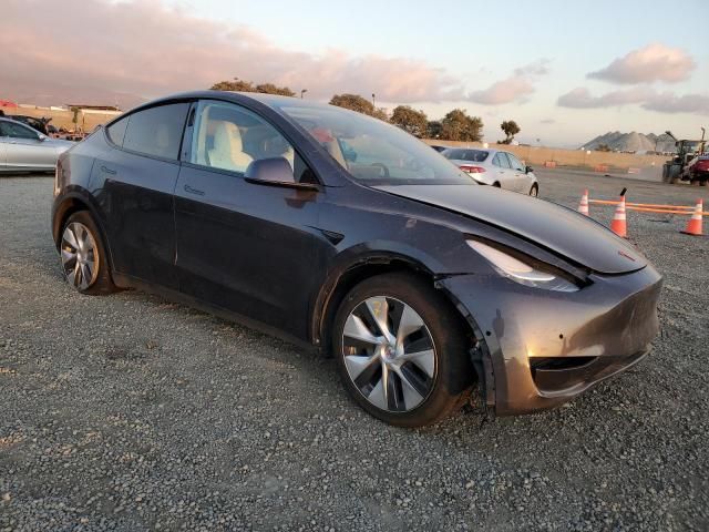 2020 Tesla Model Y