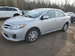 Toyota Corolla salvage cars for sale: 2013 Toyota Corolla Base