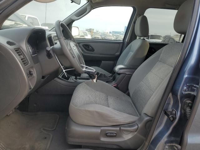 2005 Ford Escape XLT