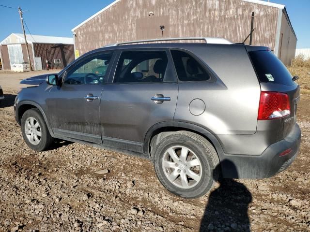 2011 KIA Sorento Base