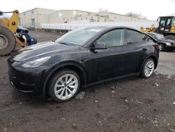 Tesla Model y Vehiculos salvage en venta: 2023 Tesla Model Y