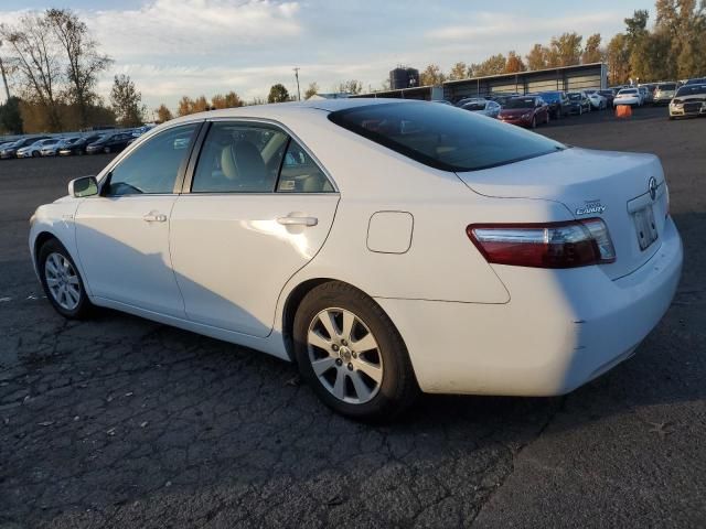 2009 Toyota Camry Hybrid