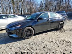 Hyundai Elantra salvage cars for sale: 2021 Hyundai Elantra Limited