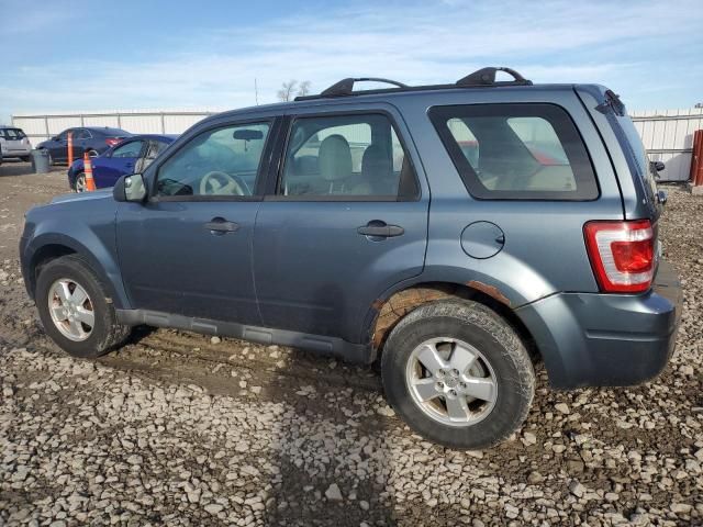 2010 Ford Escape XLS