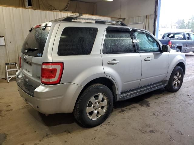 2011 Ford Escape Limited