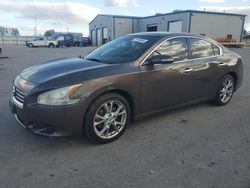 Nissan Maxima salvage cars for sale: 2012 Nissan Maxima S