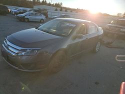 Ford Fusion salvage cars for sale: 2011 Ford Fusion SE