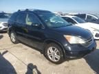 2010 Honda CR-V EXL