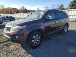 KIA Sorento salvage cars for sale: 2012 KIA Sorento Base