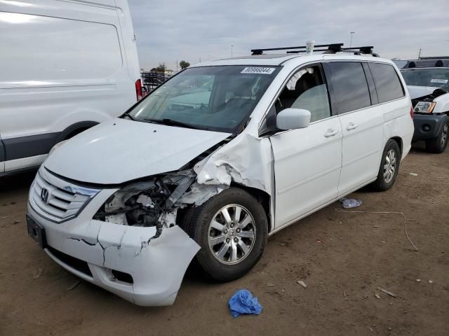 2009 Honda Odyssey EXL