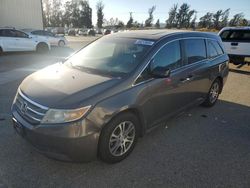 Honda Odyssey exl salvage cars for sale: 2011 Honda Odyssey EXL