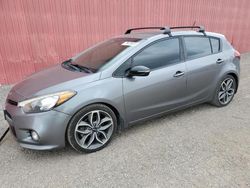 KIA Forte salvage cars for sale: 2016 KIA Forte SX