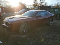 Dodge Challenger salvage cars for sale: 2017 Dodge Challenger SXT