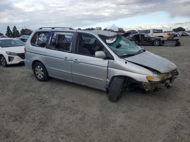 2003 Honda Odyssey EXL