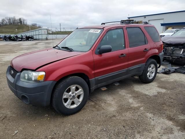 2005 Ford Escape XLT