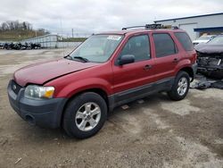 Salvage cars for sale from Copart Mcfarland, WI: 2005 Ford Escape XLT