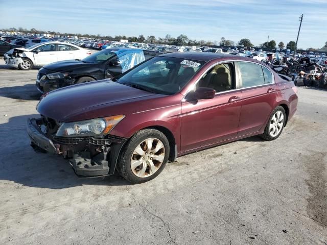 2010 Honda Accord EXL