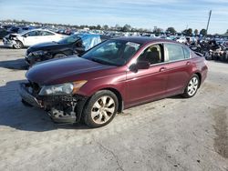 Honda salvage cars for sale: 2010 Honda Accord EXL