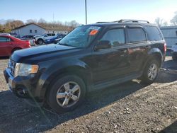 Ford Escape salvage cars for sale: 2011 Ford Escape Limited