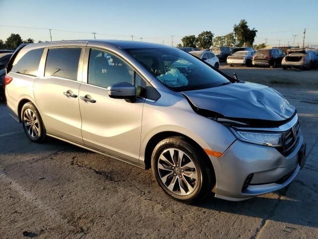 2024 Honda Odyssey EXL