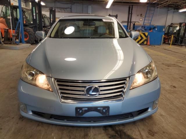 2010 Lexus ES 350